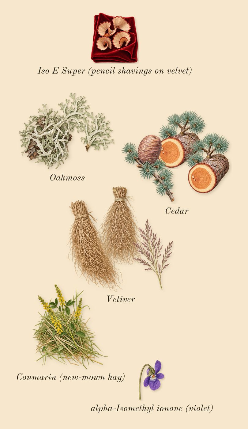Le Sel d'Issey, dry-down: Oakmoss, Cedar, Vetiver, Iso E Super (pencil shavings on velvet), Coumarin (new-mown hay), alpha-Isomethyl ionone (violet)