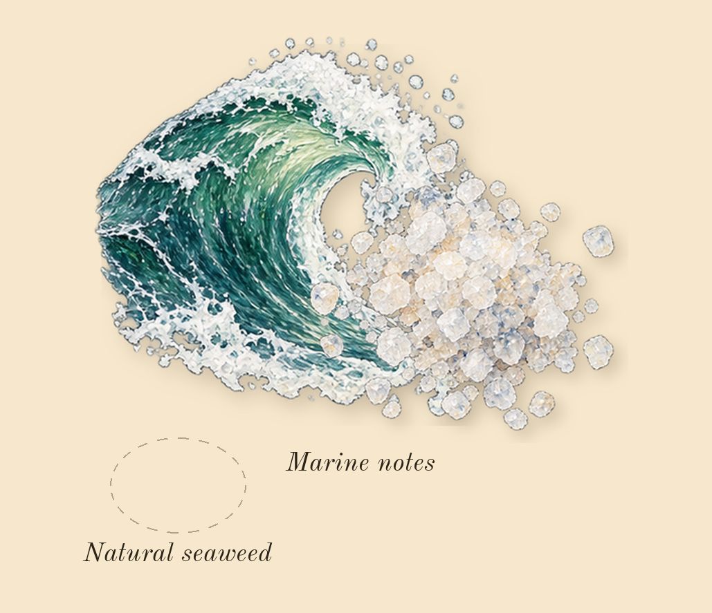 Le Sel d'Issey, heart: Natural seaweed, Marine notes