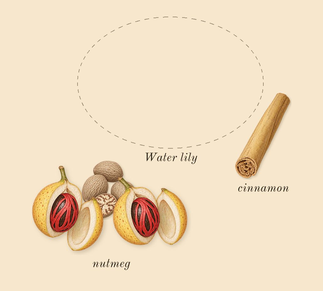 L'Eau d'Issey Pour Homme, heart: Water lily, nutmeg, cinnamon