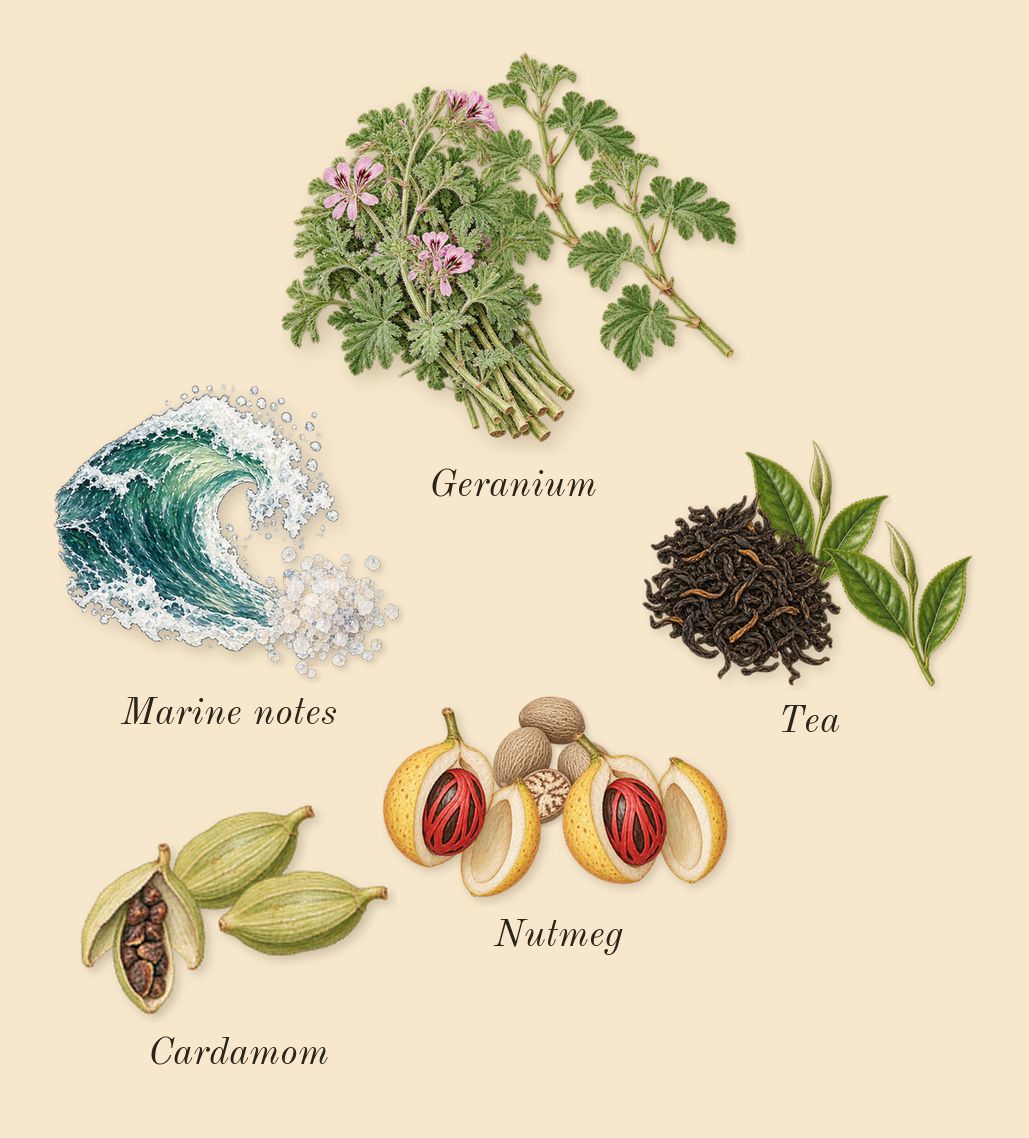 Classic Black, heart: Geranium, Cardamom, Tea, Marine notes, Nutmeg
