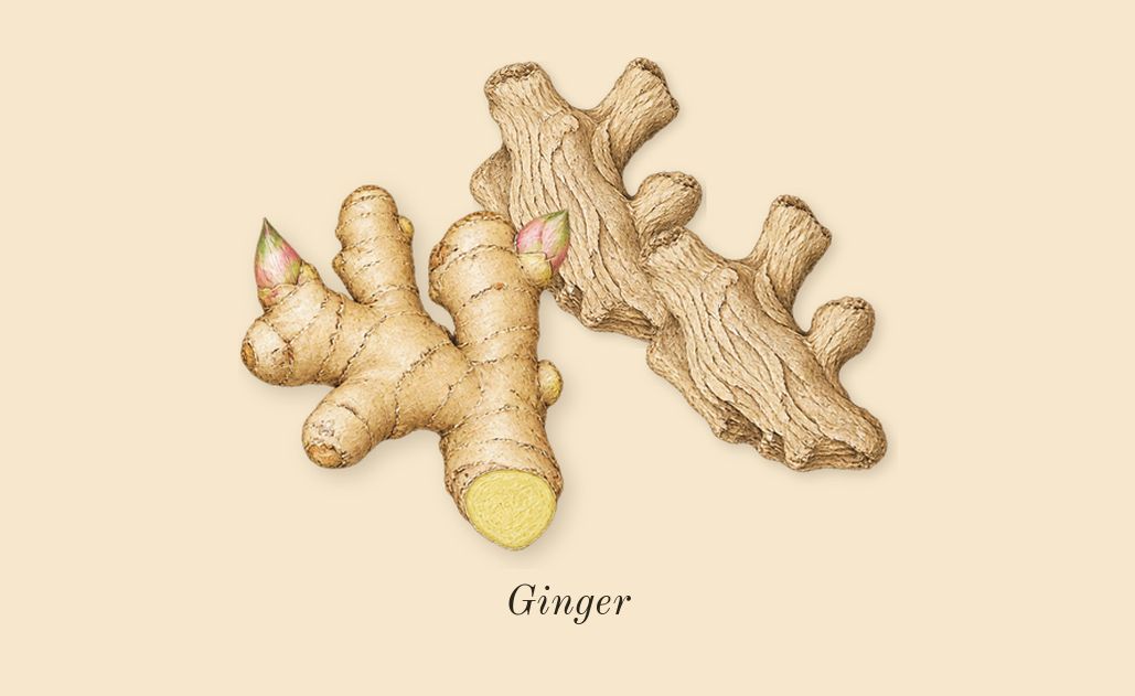 Classique, top notes: Ginger