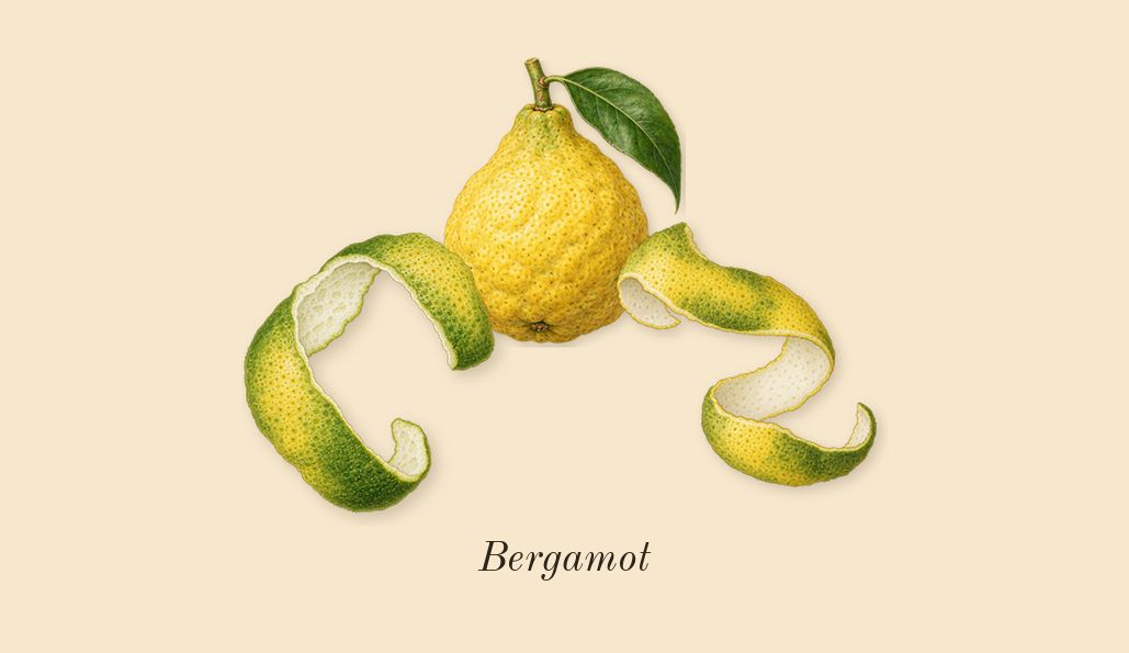 La Belle, top notes: Bergamot