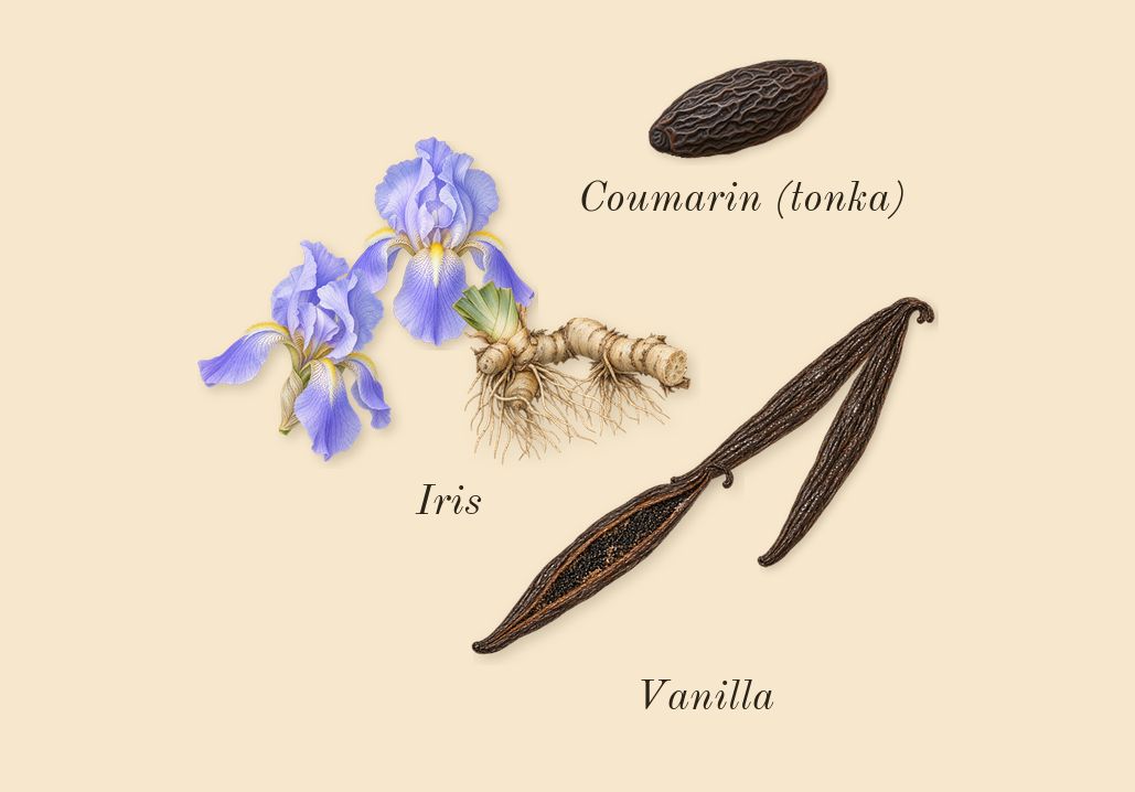 La Belle Paradise Garden, dry-down: Iris, Vanilla, Coumarin (tonka)