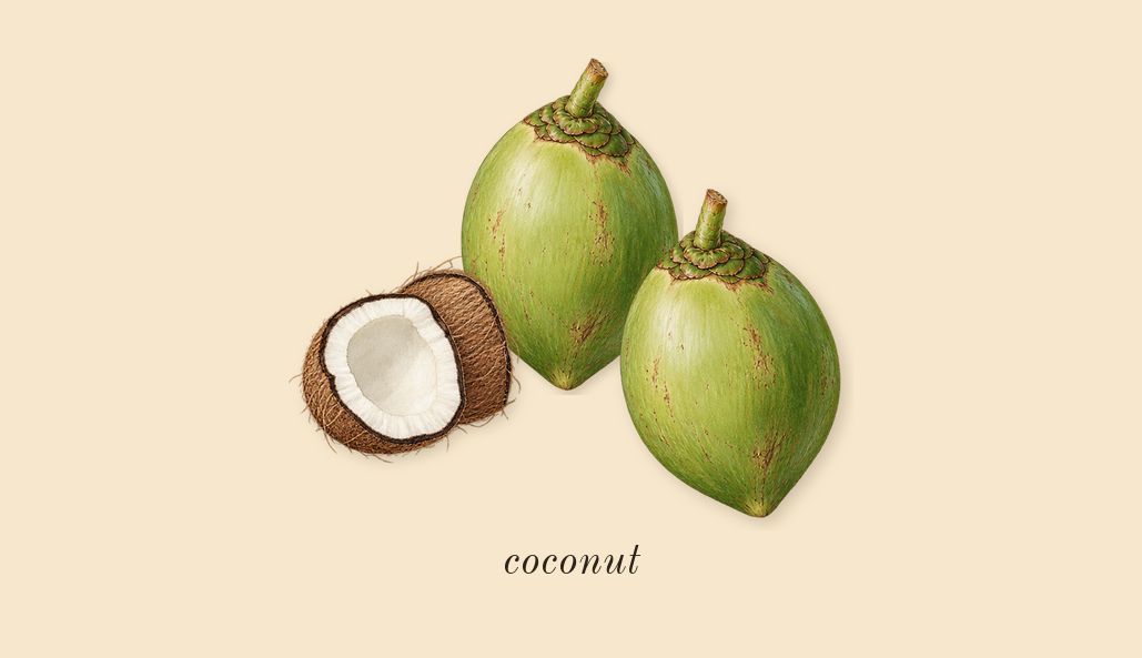 Le Beau, heart: coconut