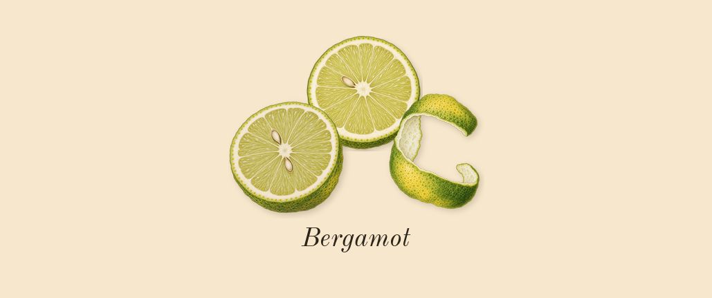 Le Beau, top notes: Bergamot