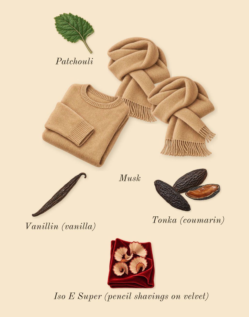 Le Beau Narcisse, dry-down: Tonka (coumarin), Musk, Patchouli, Iso E Super (pencil shavings on velvet), Vanillin (vanilla)