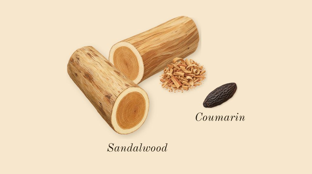 Le Beau Paradise Garden, dry-down: Sandalwood, Coumarin