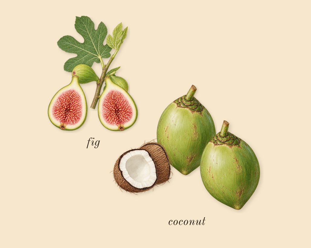 Le Beau Paradise Garden, heart: coconut, fig