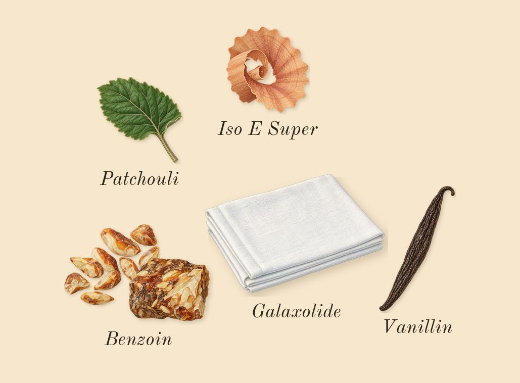 Le Male Elixir, dry-down: Benzoin, Patchouli, Iso E Super, Galaxolide, Vanillin