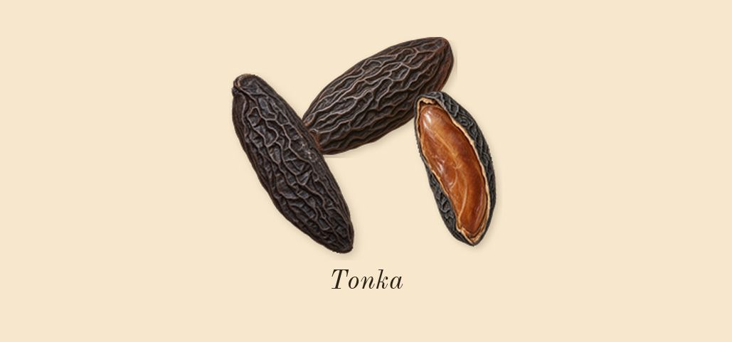 Le Male Elixir, heart: Tonka