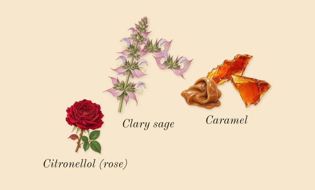 Scandal pour Homme, heart: Clary sage, Caramel, Citronellol (rose)