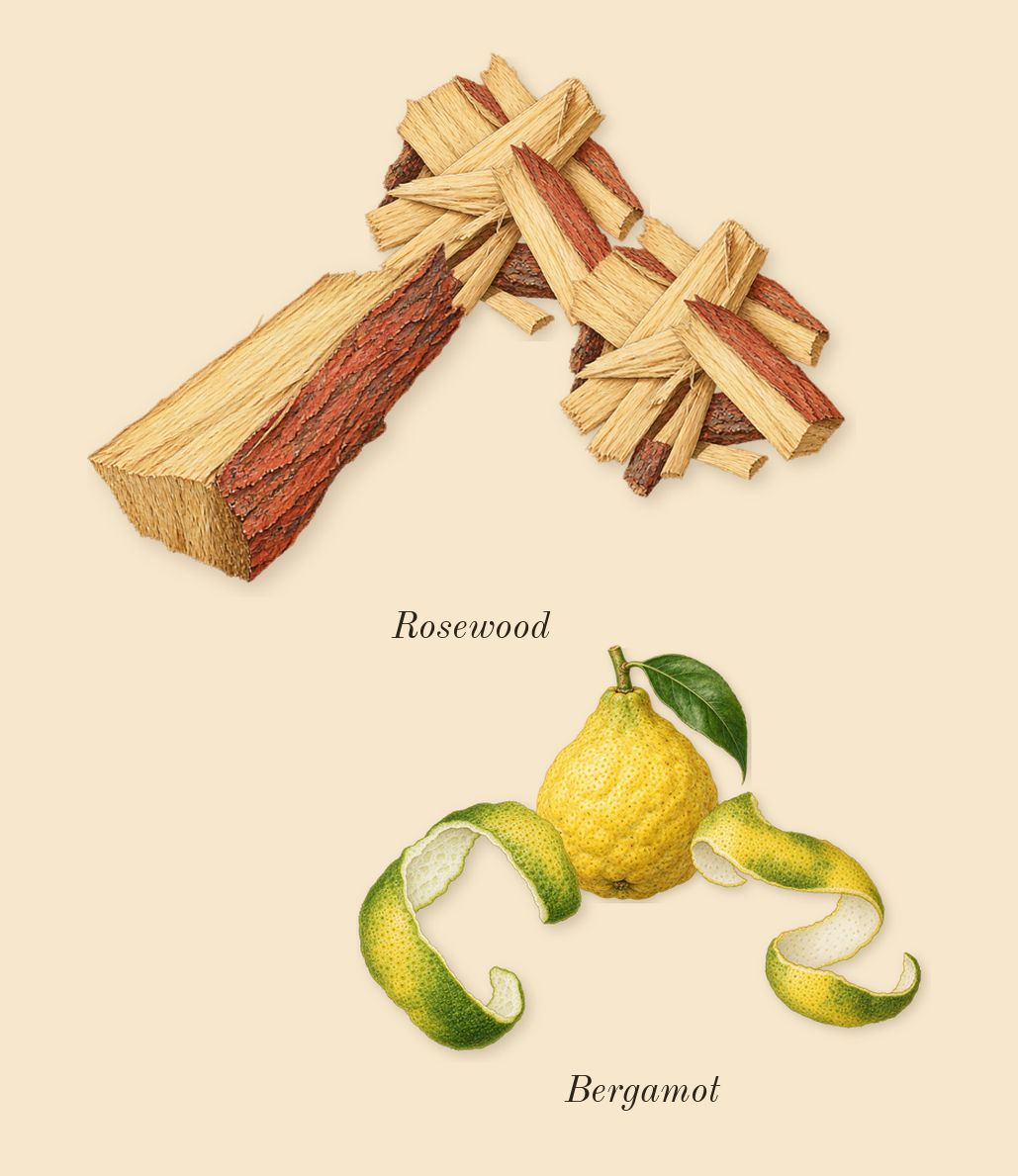 Sun, top notes: Bergamot, Rosewood