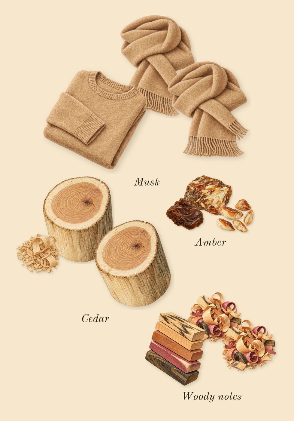 Sun Men, dry-down: Cedar, Woody notes, Amber, Musk