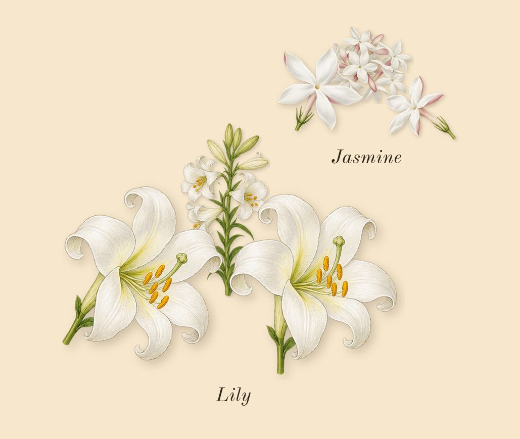 I Want Choo, heart: Lily, Jasmine