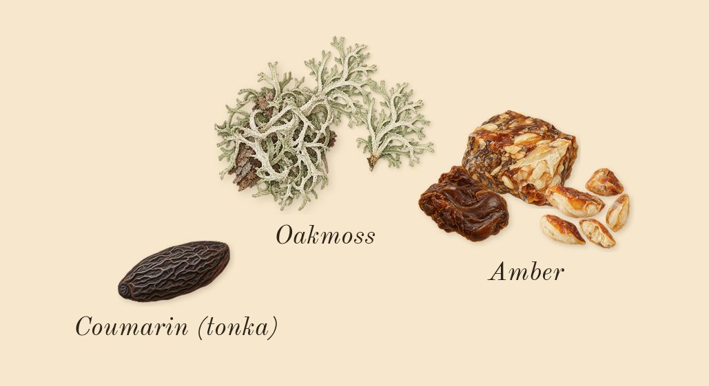 Cypress & Grapevine Cologne Intense, dry-down: Amber, Oakmoss, Coumarin (tonka)