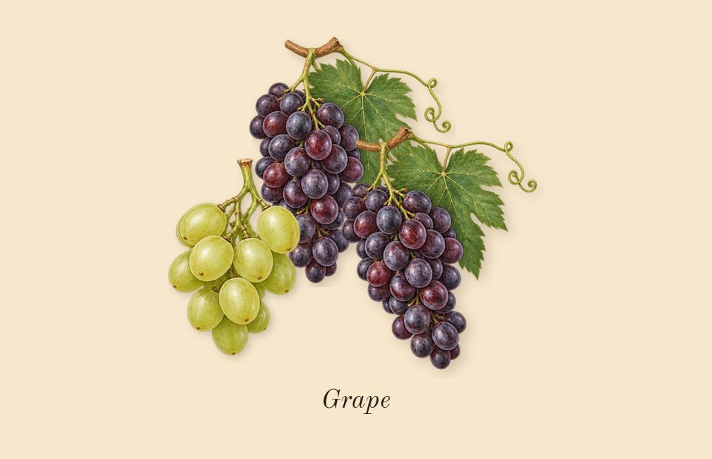 Cypress & Grapevine Cologne Intense, heart: Grape