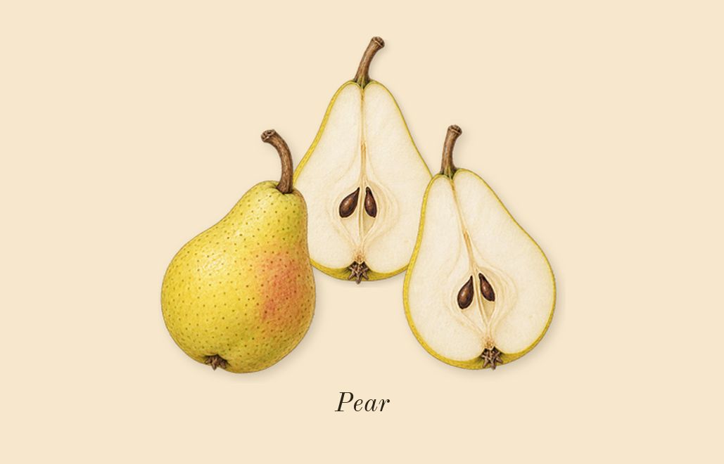English Pear & Freesia Cologne, top notes: Pear