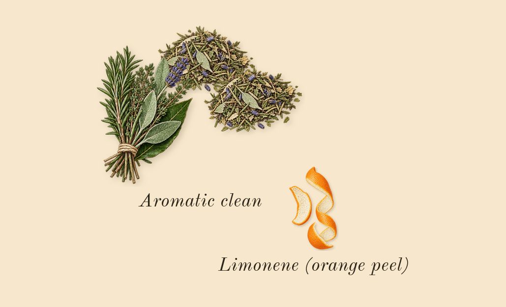Hinoki & Cedarwood Cologne Intense, top notes: Aromatic clean, Limonene (orange peel)