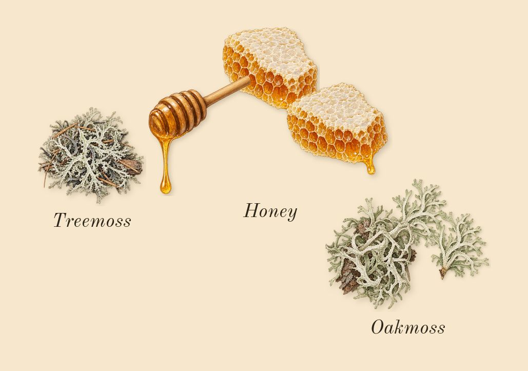 Honeysuckle & Davana Cologne, dry-down: Oakmoss, Honey, Treemoss