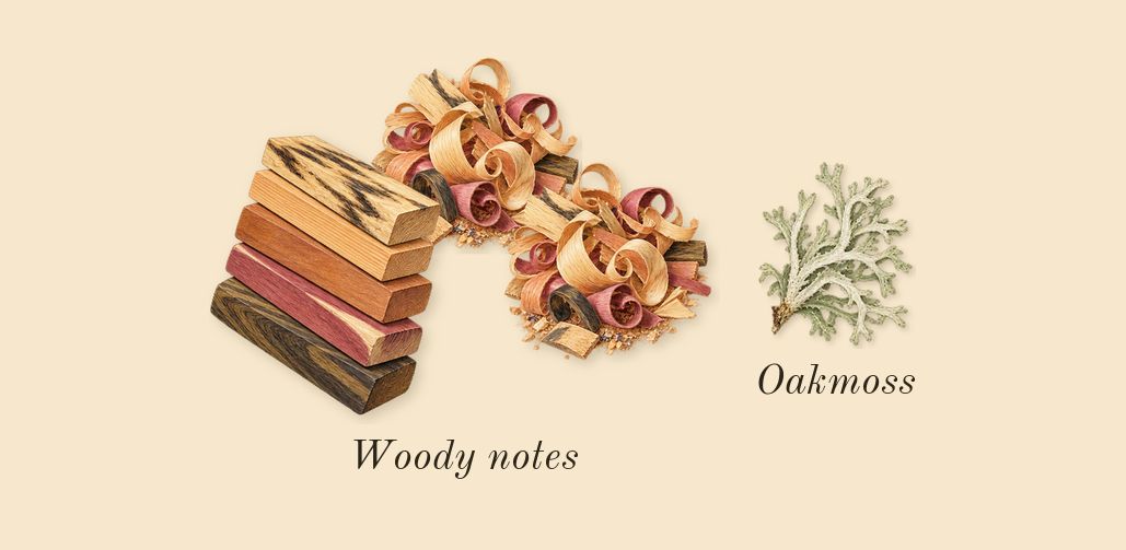 Lime Basil & Mandarin Cologne, dry-down: Woody notes, Oakmoss