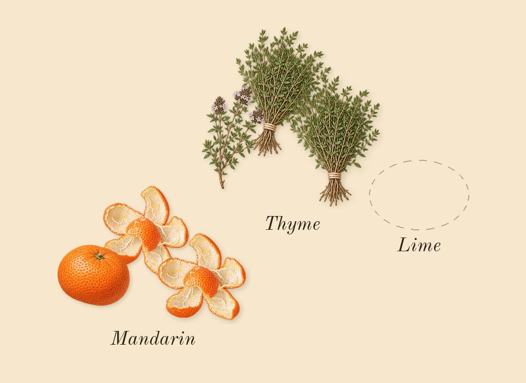 Lime Basil & Mandarin Cologne, top notes: Mandarin, Lime, Thyme