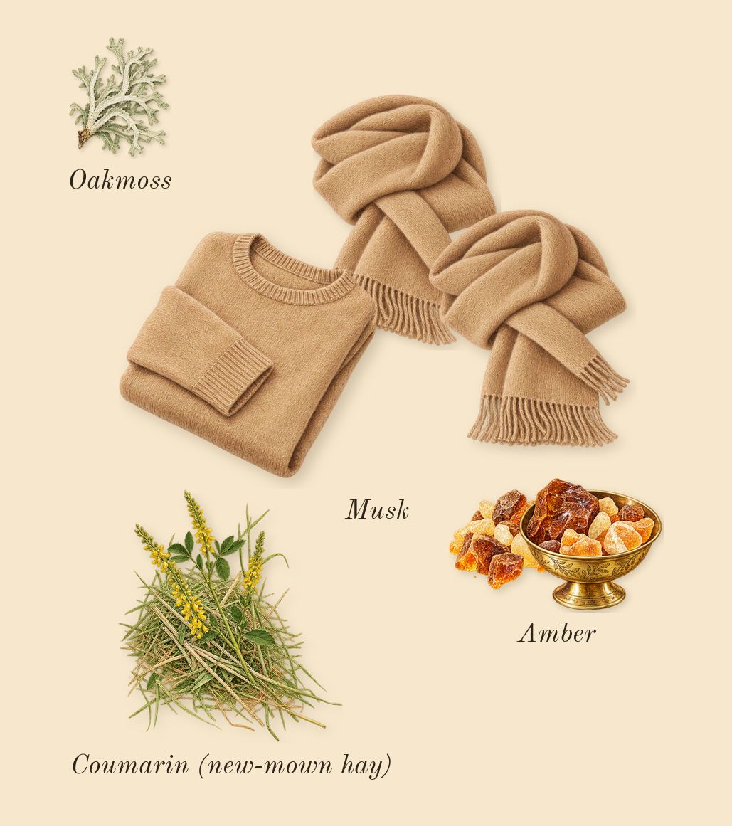 Midnight Musk & Amber Cologne, dry-down: Musk, Amber, Oakmoss, Coumarin (new-mown hay)