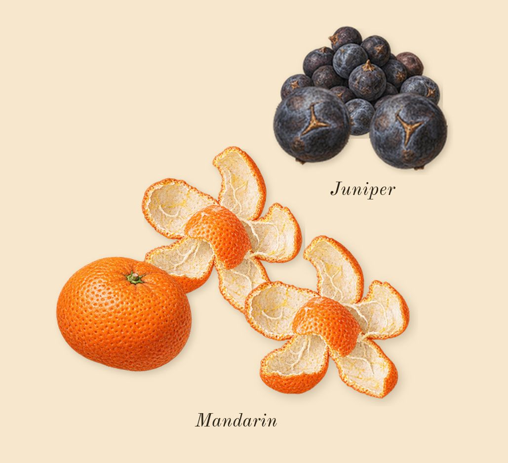 Midnight Musk & Amber Cologne, top notes: Juniper, Mandarin