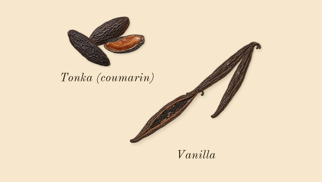 Myrrh & Tonka Cologne Intense, dry-down: Tonka (coumarin), Vanilla