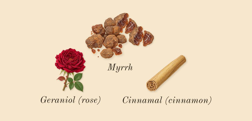 Myrrh & Tonka Cologne Intense, heart: Myrrh, Geraniol (rose), Cinnamal (cinnamon)