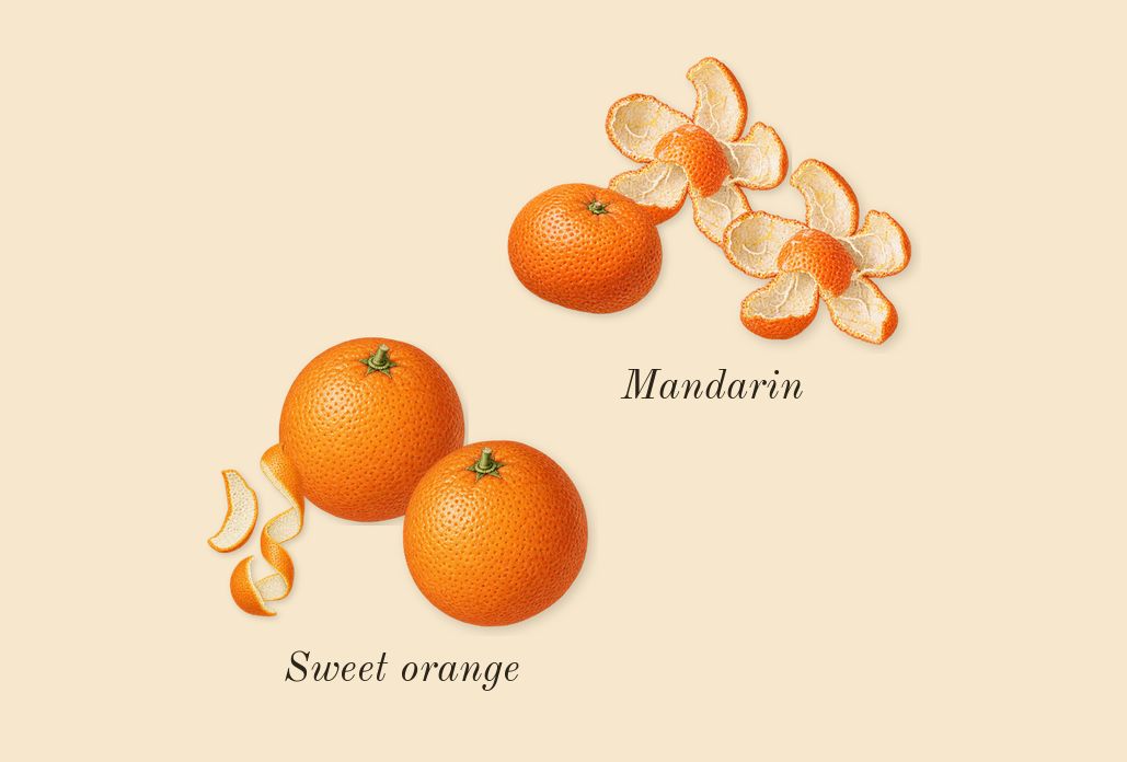 Orange Blossom Cologne, top notes: Mandarin, Sweet orange