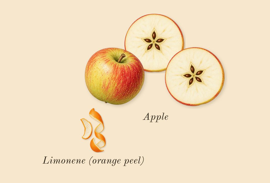Peony & Blush Suede Cologne, top notes: Apple, Limonene (orange peel)