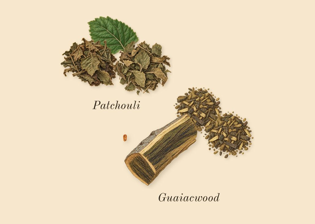 Pomegranate Noir Cologne, dry-down: Guaiacwood, Patchouli