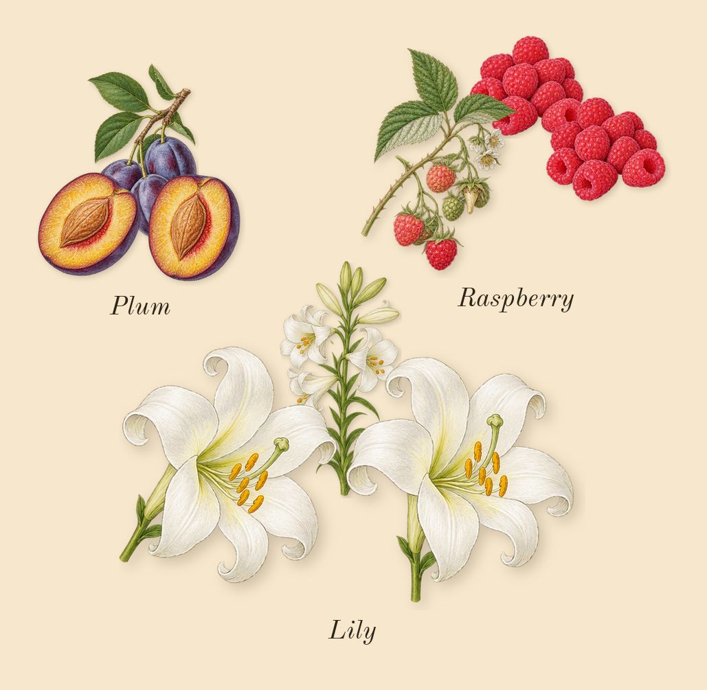 Pomegranate Noir Cologne, heart: Lily, Raspberry, Plum