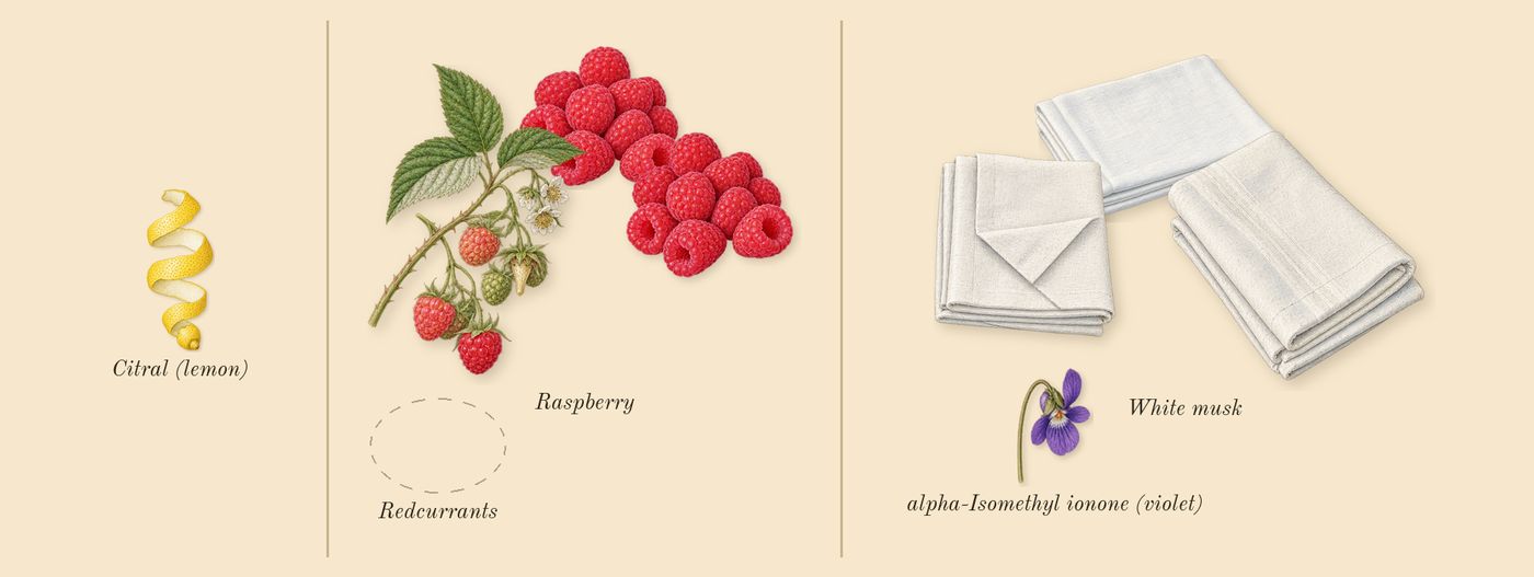 Raspberry Ripple Cologne’s scent picture, a draft: raspberry, white musk, citral (lemon), alpha-isomethyl ionone (violet) drawn so far; dashed outlines where nothing is drawn yet