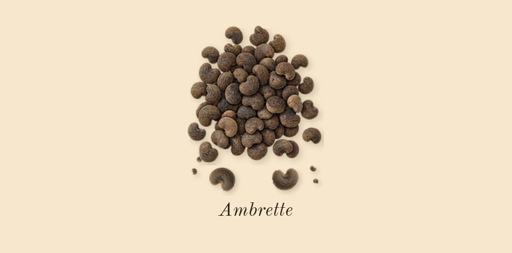 Scarlet Poppy Cologne Intense, top notes: Ambrette