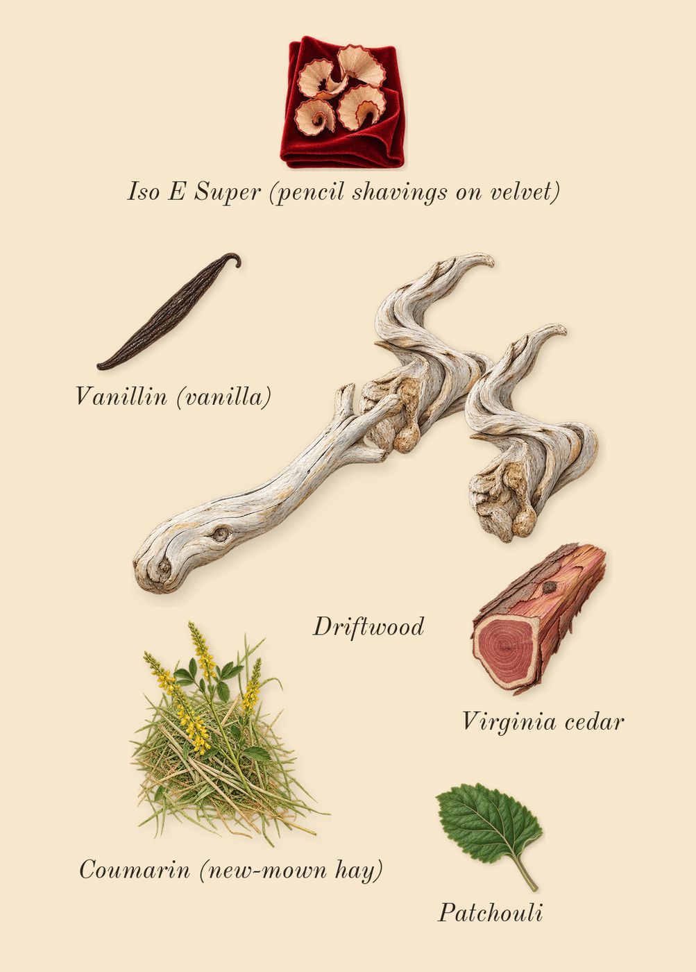 Sea Salt & Bergamot Cologne, dry-down: Driftwood, Virginia cedar, Patchouli, Iso E Super (pencil shavings on velvet), Vanillin (vanilla), Coumarin (new-mown hay)