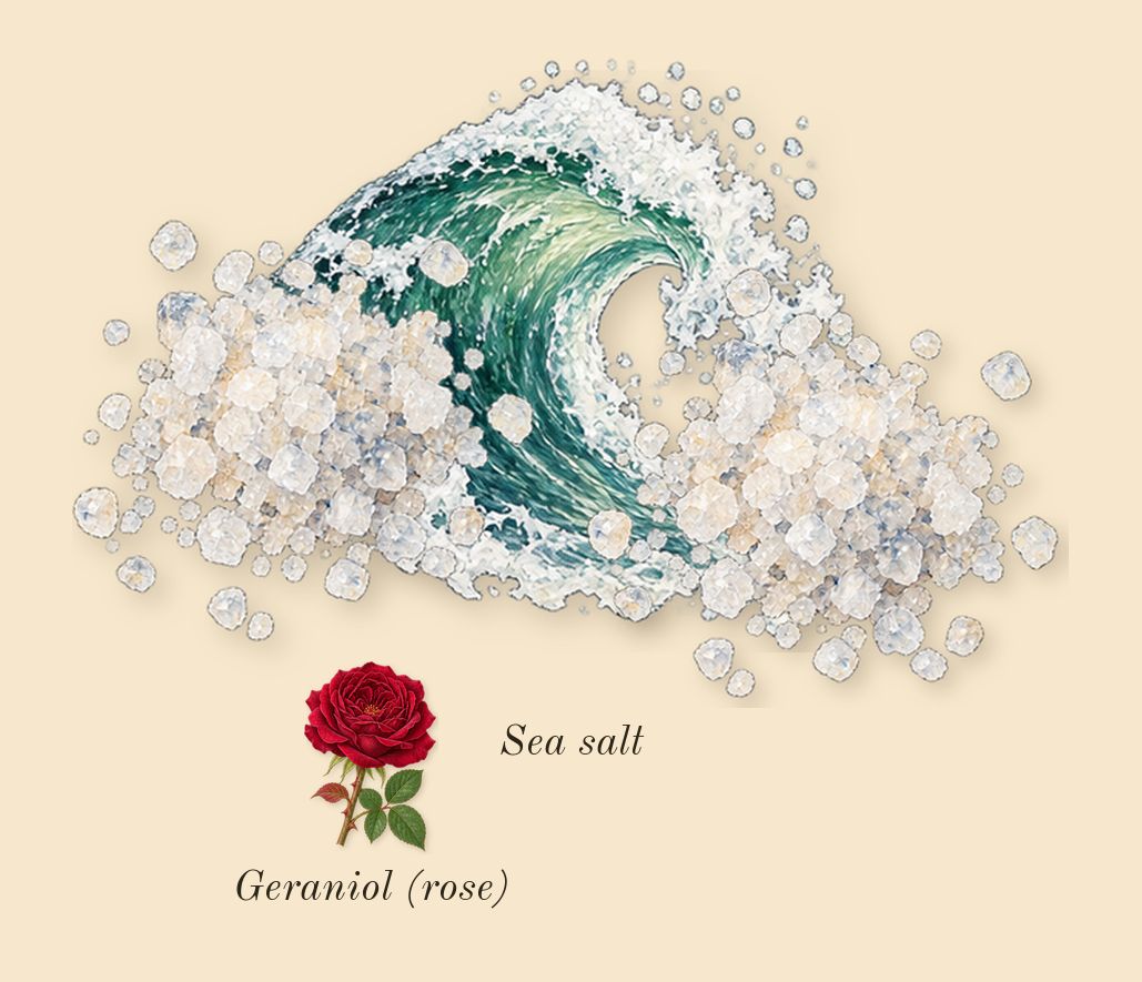 Sea Salt & Bergamot Cologne, heart: Sea salt, Geraniol (rose)