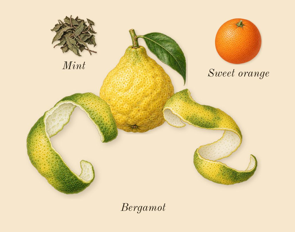 Sea Salt & Bergamot Cologne, top notes: Bergamot, Sweet orange, Mint