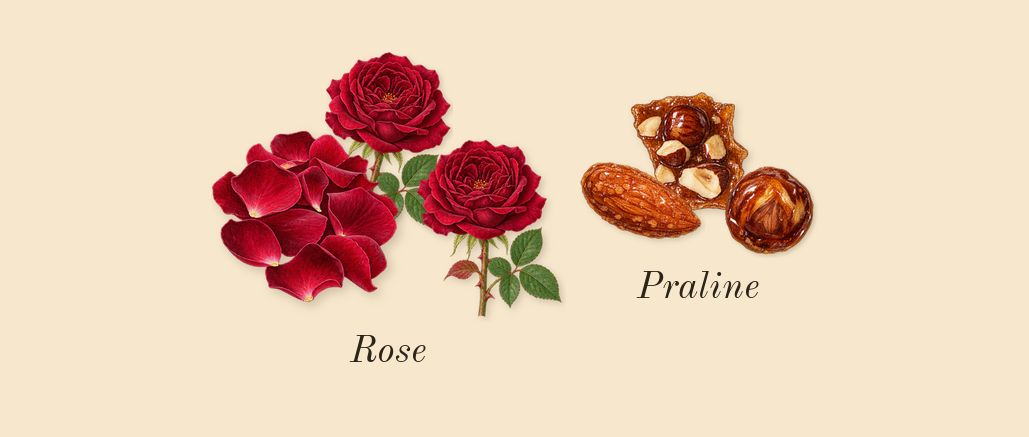 Velvet Rose & Oud Cologne Intense, heart: Rose, Praline