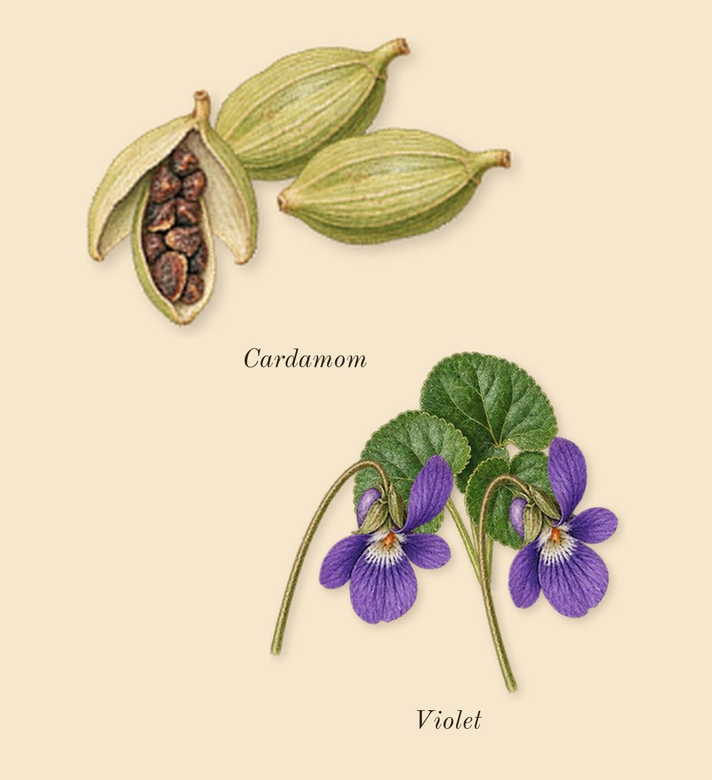 Game of Spades Bid, top notes: Violet, Cardamom