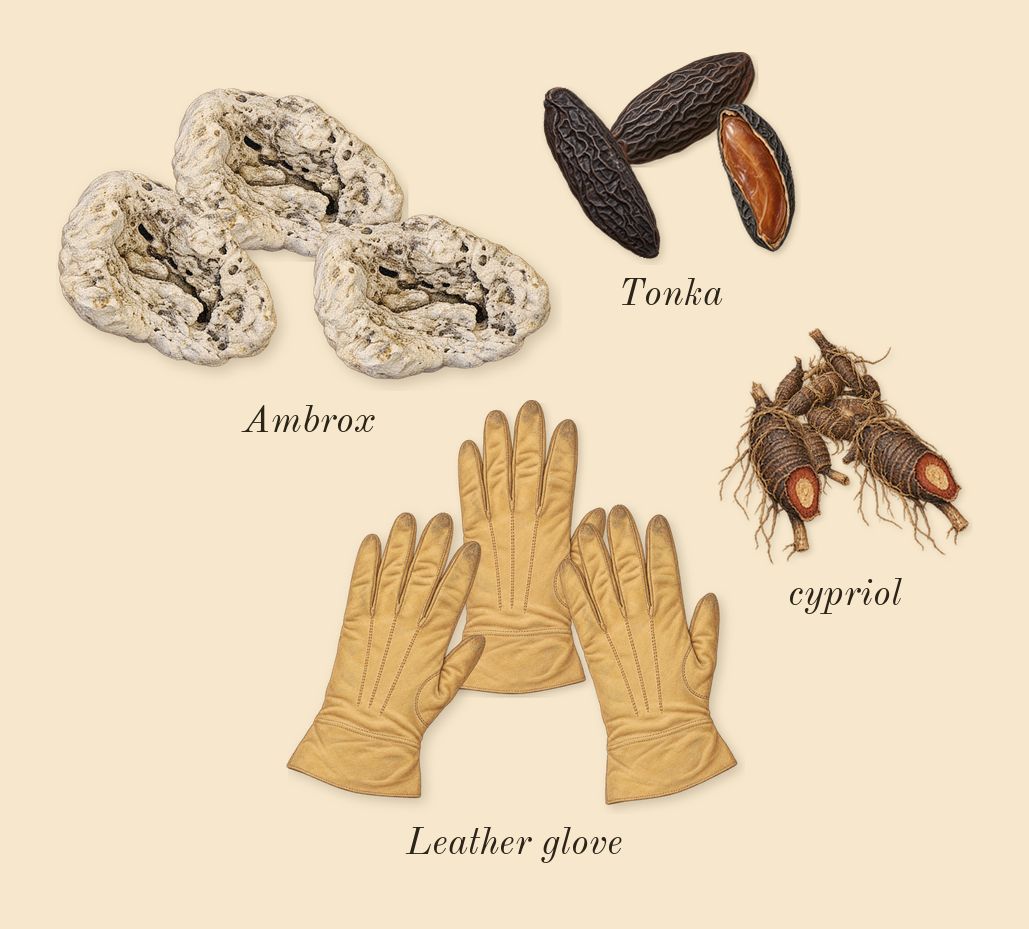 Journey Man, dry-down: Tonka, cypriol, Leather glove, Ambrox