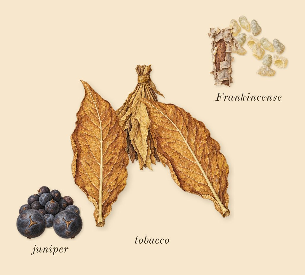 Journey Man, heart: juniper, Frankincense, tobacco