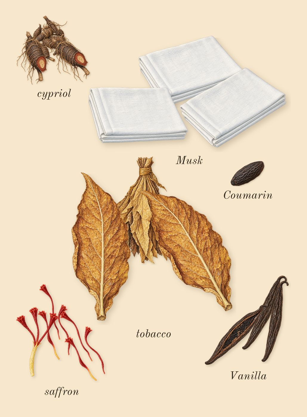 Journey Woman, dry-down: tobacco, saffron, Vanilla, cypriol, Musk, Coumarin