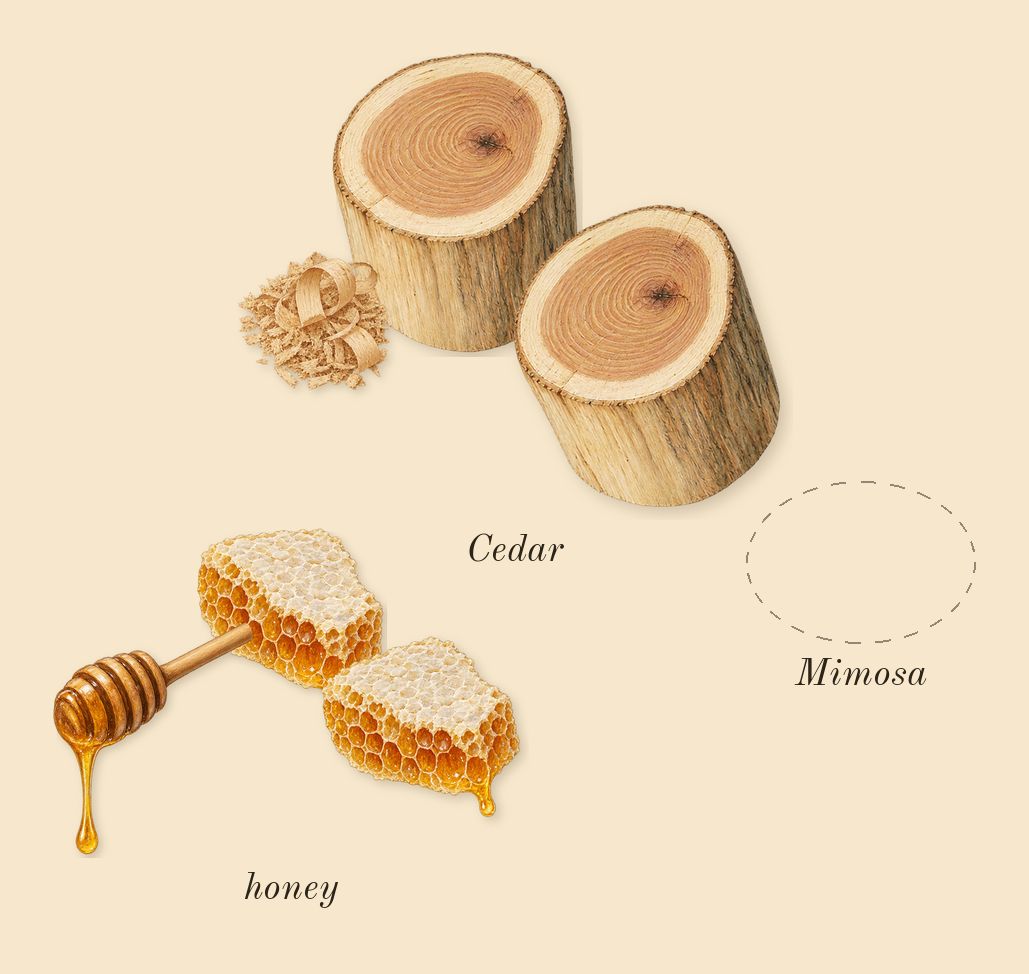 Journey Woman, heart: Mimosa, honey, Cedar