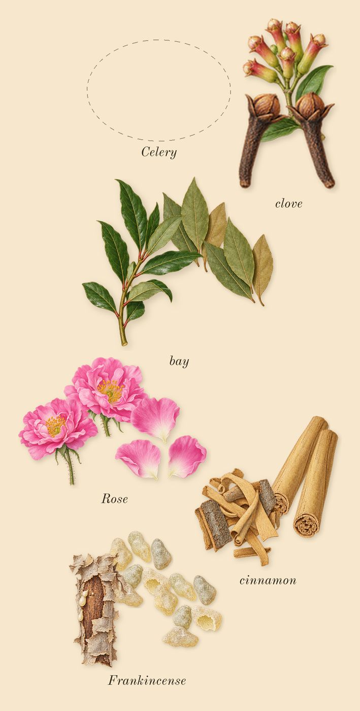 Jubilation 40 Man, heart: Frankincense, cinnamon, clove, bay, Rose, Celery
