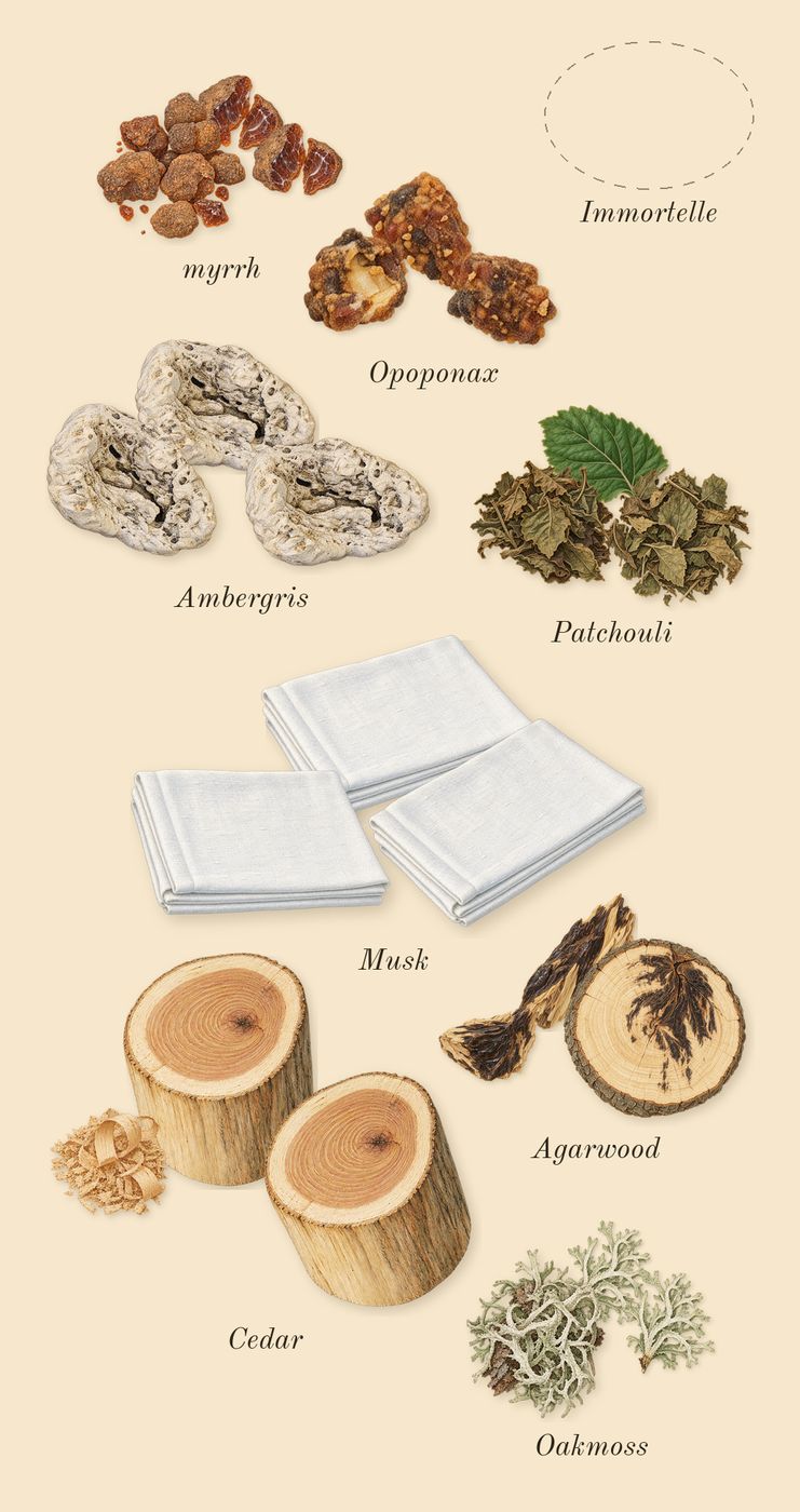 Jubilation XXV Man, dry-down: Patchouli, Opoponax, myrrh, Cedar, Musk, Oakmoss, Ambergris, Agarwood, Immortelle