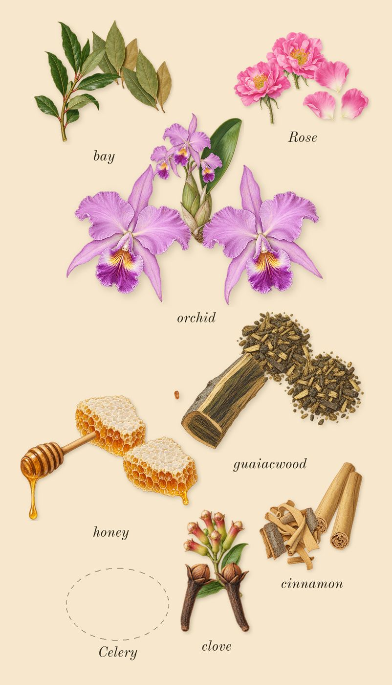 Jubilation XXV Man, heart: honey, bay, cinnamon, orchid, Rose, clove, Celery, guaiacwood
