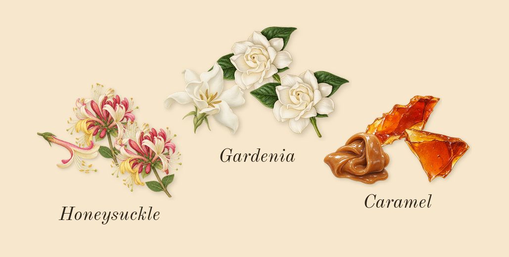 Viva La Juicy, heart: Honeysuckle, Gardenia, Caramel