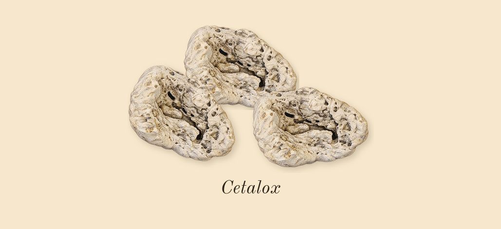Not a Perfume, top notes: Cetalox