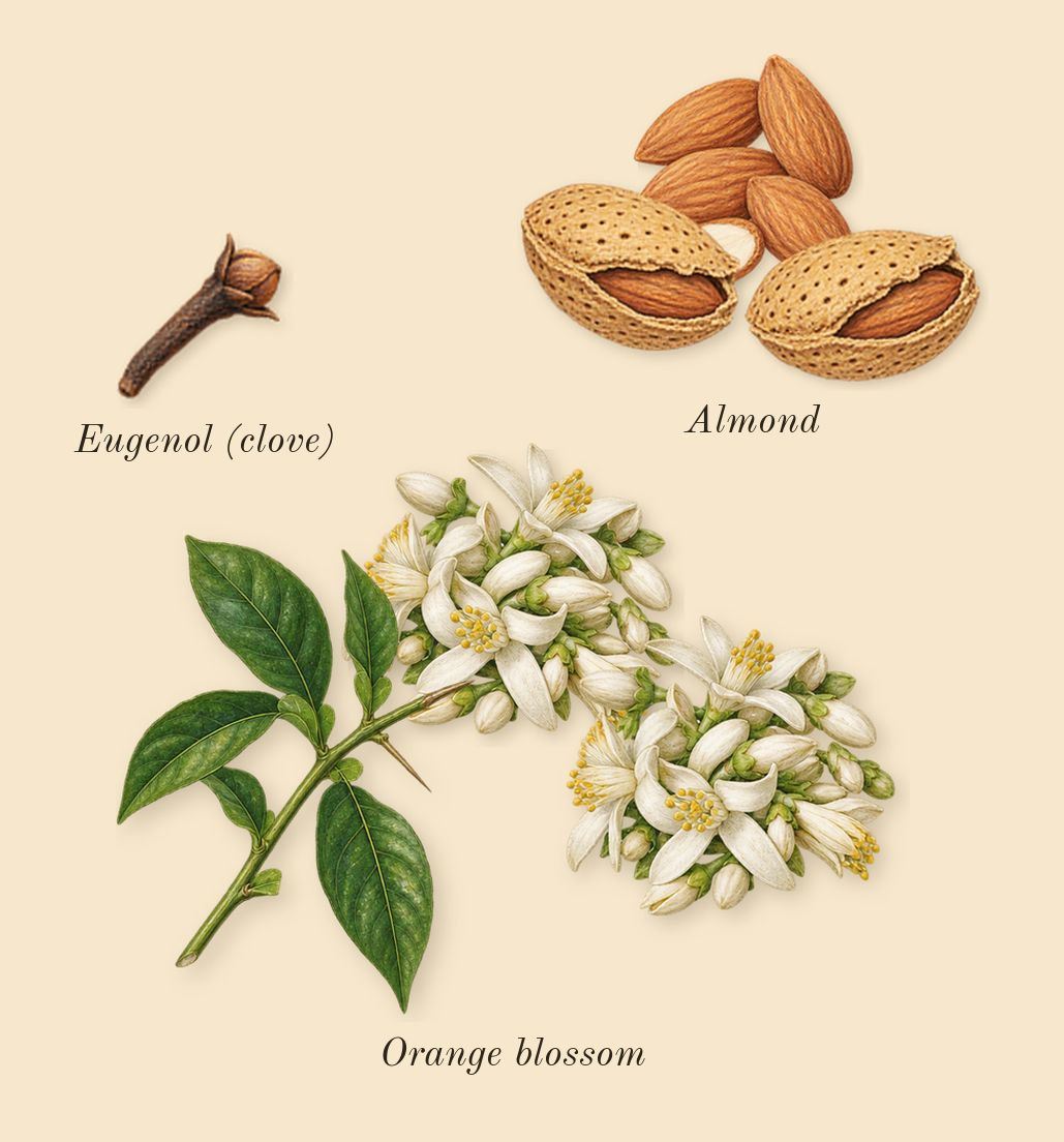 Powder Love, heart: Almond, Orange blossom, Eugenol (clove)